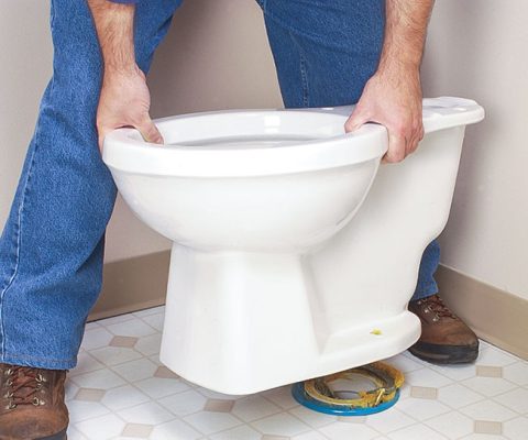 cách lắp bệt vệ sinh
